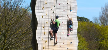 Climbing Wall Climbing Wall